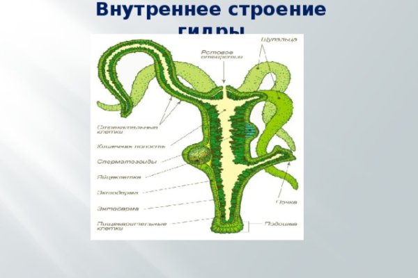 Кракен 17 at вход